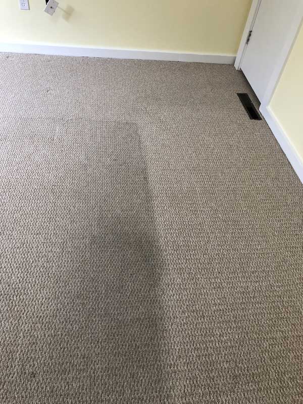 Rudy's Carpet & Flooring Carpet Cleaning